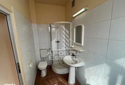 Spațiu comercial, de 100 mp, în Elisabetin - 2