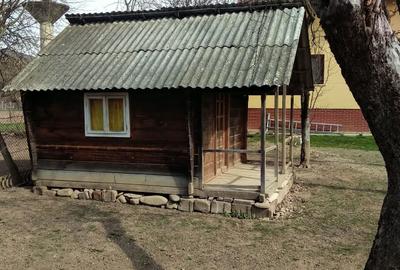 Casă cu 1 camere în Bogdan Vodă - 1