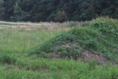 Teren Construcții intravilan de 750 mp, în Șelimbăr - 1