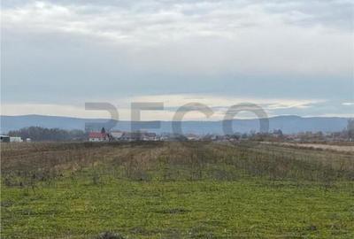 Teren de 550 mp, în Oșorhei - 6