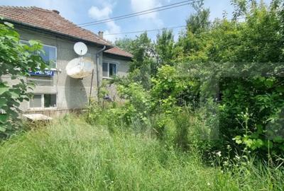 Casă cu 5 camere cu Teren 14660 Mp în Central - 3