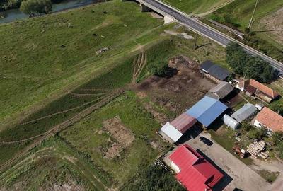 Teren intravilan in Zerind - 10