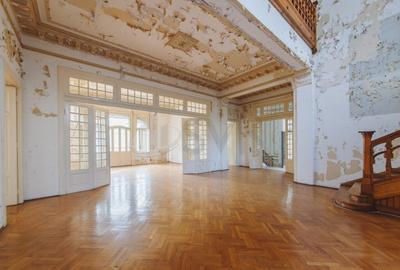 Vila deosebita Lascar Catargiu gradina mare Vila deosebita Lascar Catargiu gradina mare - 6