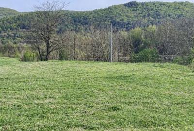 Teren de 1000 mp, în Mierea