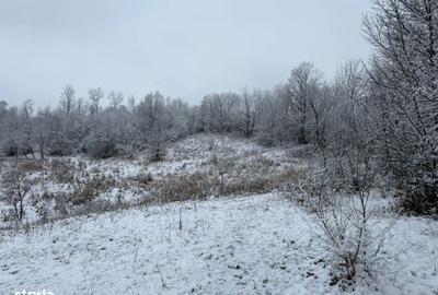 Teren de 3824 mp, în Provița de Jos - 2