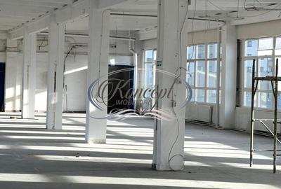 Hala depozitare/productie in Piata 1 Mai - 8