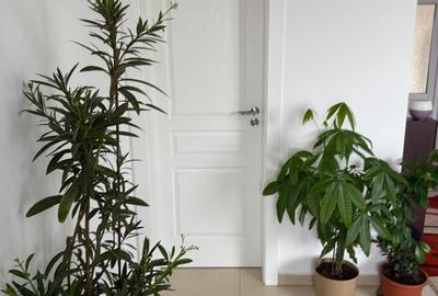 Berceni casa finalizata 2021 - 6