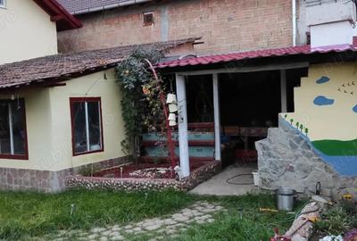 Casă cu Teren 650 Mp în Vințu de Jos - 5