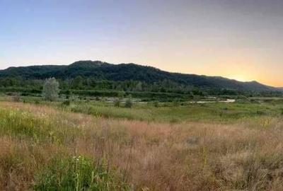 Teren de 140000 mp, în Dochia - 1