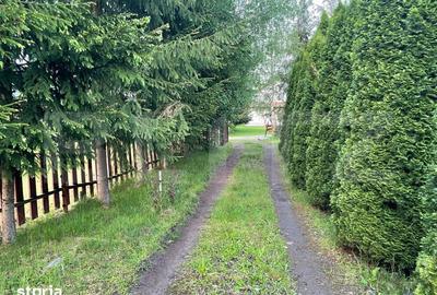 Casă cu 3 camere cu Teren 2460 Mp în Eremitu - 10