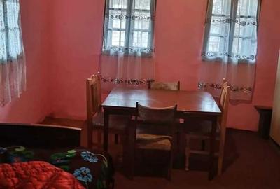 Casă cu 2 camere în Șincai - 6