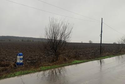 Teren Construcții extravilan de 27800 mp, în Petrăchioaia - 6