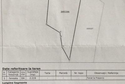 Spațiu comercial, în Făget