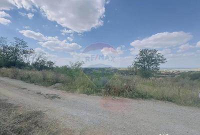 Teren de 6372 mp, în Paleu - 5