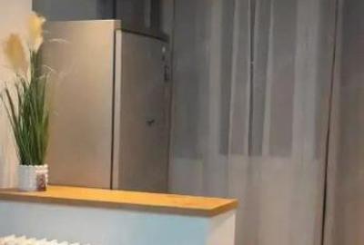 Garsonieră în Berceni