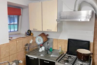 Apartament cu 2 camere semidecomandat în Badea Cârțan - 3