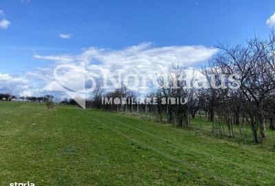 Spațiu comercial, în Rășinari - 3