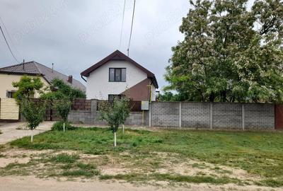 Vand casa Peciu Nou - 5