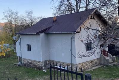 Vand casa tradi?ionala in Ganesti, Arges! - 9