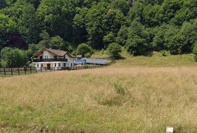 Spațiu comercial, în Plaiul Foii - 3