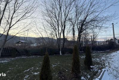 Teren de 10834 mp, în Dumbrăvești - 5