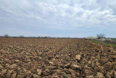 Vand teren in Mosnita - 2