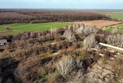 Ferma si livada de meri in judetul Ilfov - 14