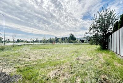 Teren Construcții intravilan de 13566 mp, în Bartolomeu - 9