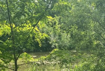 Teren de 10000 mp, în Vicovu de Sus - 3