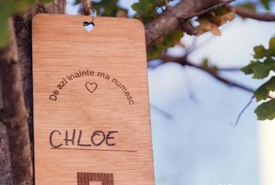 Apartament cu 2 camere decomandat în Străulești - 1