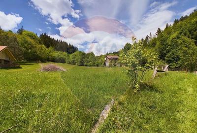 Comision 0%! Proprietate in natura, priveliste superba, S... - 4