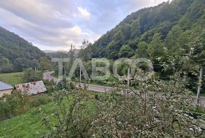 Spatiu de vanzare in Valea Macesului judel Valcea iesire la Lotru - 42