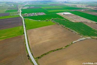 Teren extravilan intre Arad ?i Zimand - 3
