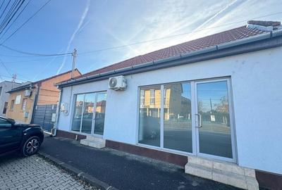 Spatiu comercial Calea Radnei Micalaca - 9