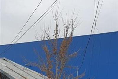 Casă cu 6 camere cu Teren 272 Mp în Central - 6