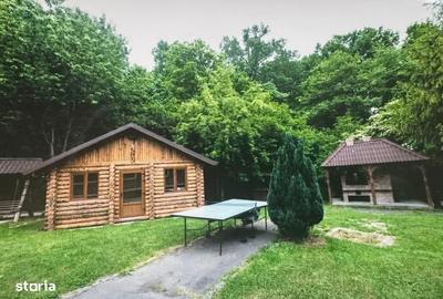 Spațiu comercial, de 700 mp, în Tăuții-Măgherăuș - 9