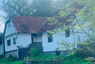 Casă cu 2 camere cu Teren 1500 Mp în Brazii - 1