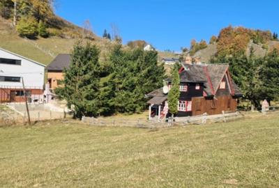 Casă cu 7 camere cu Teren 2000 Mp în Dâmbovicioara - 4