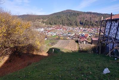 Teren cu suprafata de 3360 mp in Gura Humorului-Toaca-Boureni - 4