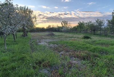 Casă cu 2 camere în Chijic - 1