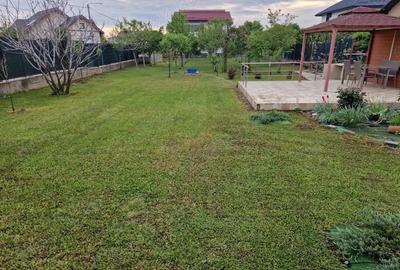 Comuna Berceni Strada Campului - 1