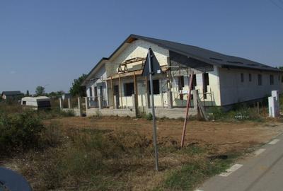 Domnesti-Salciei-stradal - 3