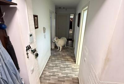 Apartament 3 camere cu gradina  Baba Novac Sector 3 - 10