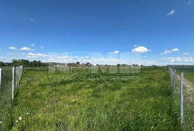 Teren Construcții intravilan de 2600 mp, în Horodnic de Sus - 2
