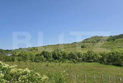 Teren intravilan construibil  in Salicea - 7