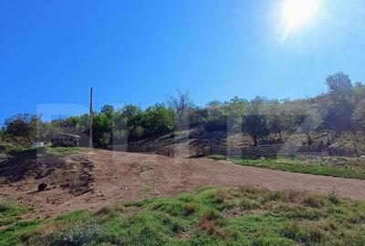 Stana 17.000 mp, Boldesti-Scaeni - 12