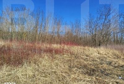 Casă cu 4 camere cu Teren 10000 Mp în Central