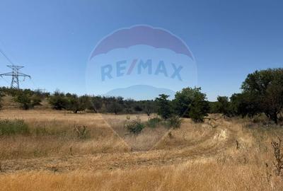 De vanzare Teren Extravilan- Cernavoda De vanzare Teren Extravilan- Cernavoda - 6