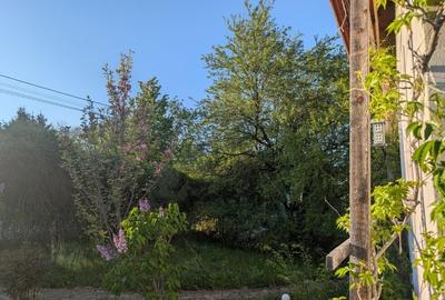 Casă cu 2 camere cu Teren 850 Mp în Daia - 7