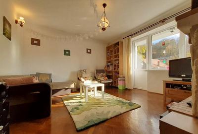 Apartament cu 2 camere decomandat, mobilat în Dealul Cetății - 2